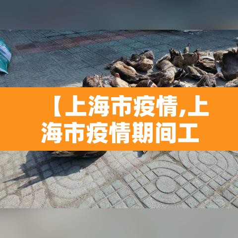 【上海市疫情,上海市疫情期间工程索赔文件依据】 【上海市疫情,上海市疫情期间工程索赔文件依据】