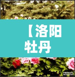 【洛阳牡丹花会旅游限行,2020年洛阳牡丹花会限行规定】 【洛阳牡丹花会旅游限行,2020年洛阳牡丹花会限行规定】