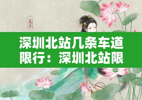 深圳北站几条车道限行：深圳北站限行时间查询