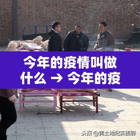 今年的疫情叫做什么 → 今年的疫情叫什么?