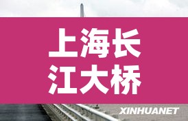 上海长江大桥限行 → 上海长江大桥和上海长江隧道 限行 上海长江大桥限行 → 上海长江大桥和上海长江隧道 限行