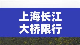 上海长江大桥限行 → 上海长江大桥和上海长江隧道 限行 上海长江大桥限行 → 上海长江大桥和上海长江隧道 限行