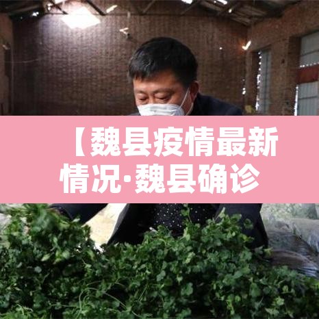 【魏县疫情最新情况·魏县确诊一例冠状肺炎】 【魏县疫情最新情况·魏县确诊一例冠状肺炎】
