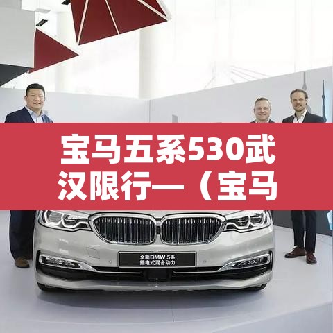 宝马五系530武汉限行—（宝马5系新能源限号吗）