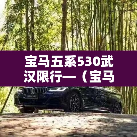 宝马五系530武汉限行—(宝马5系新能源限号吗) 宝马五系530武汉限行—(宝马5系新能源限号吗)
