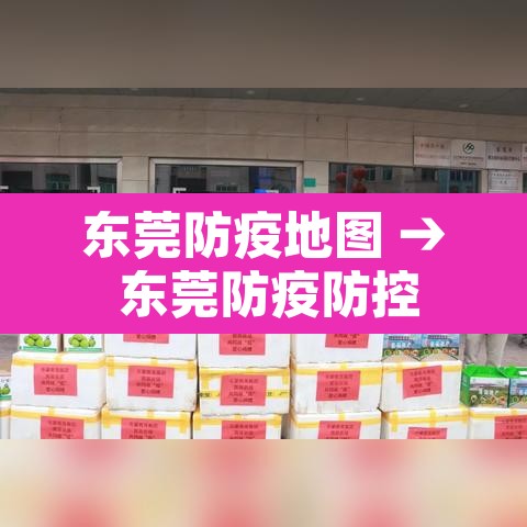东莞防疫地图 → 东莞防疫防控 东莞防疫地图 → 东莞防疫防控