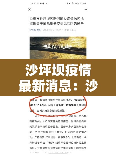 沙坪坝疫情最新消息:沙坪坝新冠状病毒最新消息 沙坪坝疫情最新消息:沙坪坝新冠状病毒最新消息