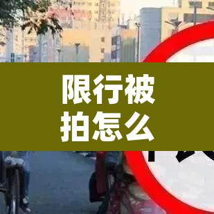 限行被拍怎么处罚濮阳:濮阳限行拍照后几小时内再处罚 限行被拍怎么处罚濮阳:濮阳限行拍照后几小时内再处罚