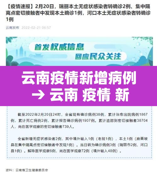 云南疫情新增病例 → 云南 疫情 新增 云南疫情新增病例 → 云南 疫情 新增