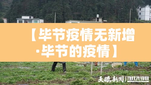 【毕节疫情无新增·毕节的疫情】