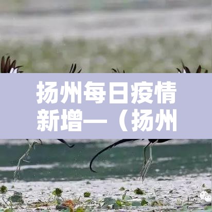扬州每日疫情新增—(扬州疫情每天新增) 扬州每日疫情新增—(扬州疫情每天新增)