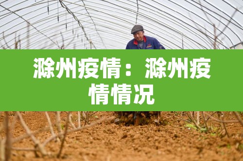 滁州疫情：滁州疫情情况