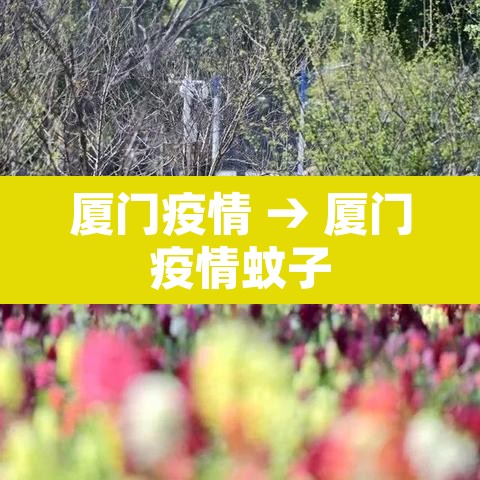 厦门疫情 → 厦门疫情蚊子