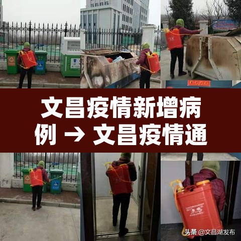 文昌疫情新增病例 → 文昌疫情通报 文昌疫情新增病例 → 文昌疫情通报
