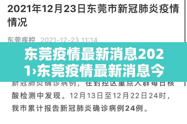 东莞疫情最新消息2021›东莞疫情最新消息今天新增了15例