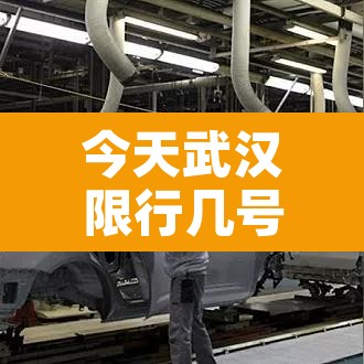 今天武汉限行几号到几号—(今天武汉限行几号到几号结束) 今天武汉限行几号到几号—(今天武汉限行几号到几号结束)