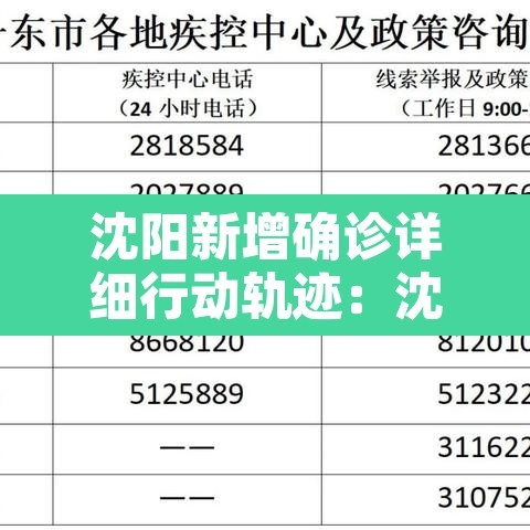 沈阳新增确诊详细行动轨迹:沈阳新增本土确诊行程轨迹 沈阳新增确诊详细行动轨迹:沈阳新增本土确诊行程轨迹