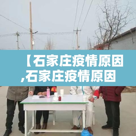 【石家庄疫情原因,石家庄疫情原因最新消息】