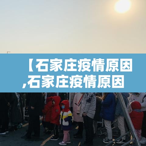 【石家庄疫情原因,石家庄疫情原因最新消息】