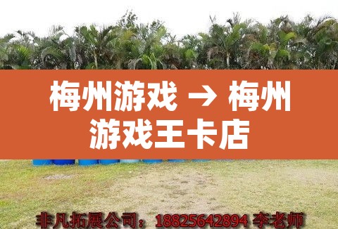 梅州游戏 → 梅州游戏王卡店