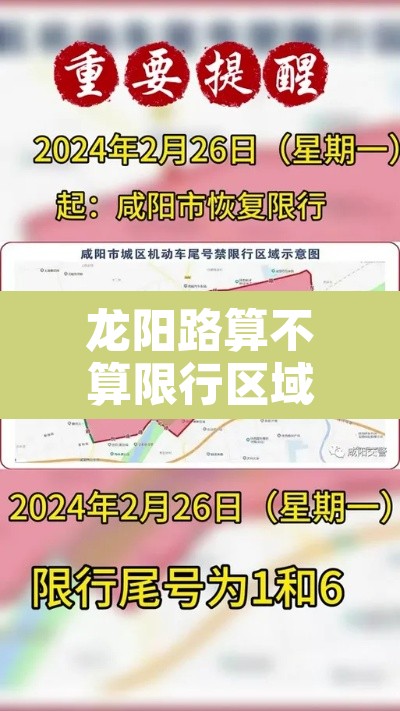 龙阳路算不算限行区域›龙阳路是市区吗