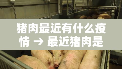 猪肉最近有什么疫情 → 最近猪肉是不是有新冠病毒