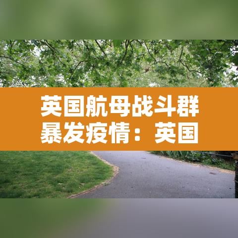 英国航母战斗群暴发疫情:英国航母战斗群到哪了