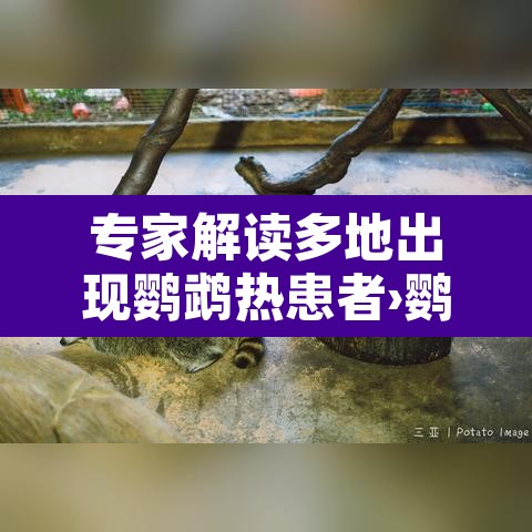 专家解读多地出现鹦鹉热患者›鹦鹉热临床表现
