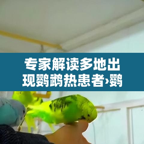 专家解读多地出现鹦鹉热患者›鹦鹉热临床表现 专家解读多地出现鹦鹉热患者›鹦鹉热临床表现