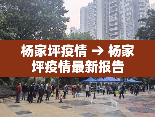 杨家坪疫情 → 杨家坪疫情最新报告
