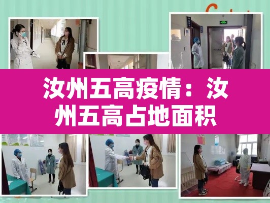 汝州五高疫情：汝州五高占地面积